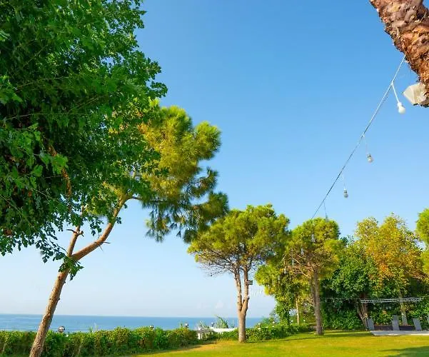 Nazar Hotel